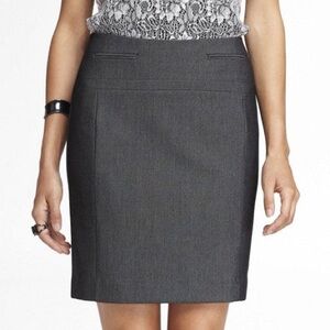 Express Pencil Skirt